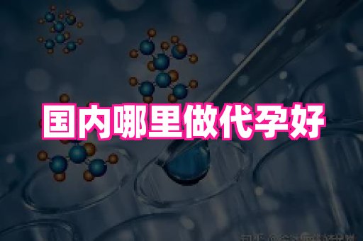 海口助孕网站 1