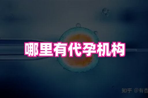 海口助孕网站 3